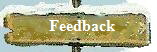 Feedback